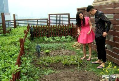 张庭|都知道张庭夫妇有钱，但不知道他们这么有钱