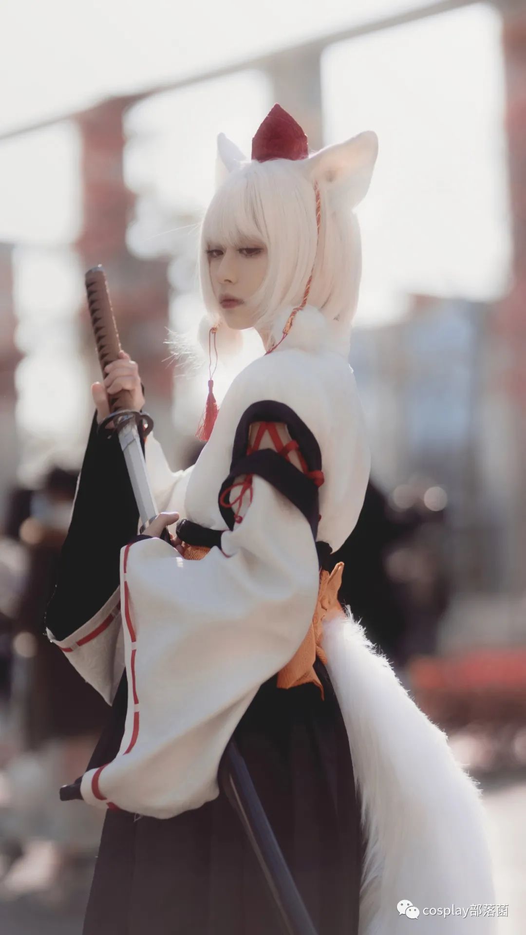 京阿尼|cos：东方project犬走椛cos正片