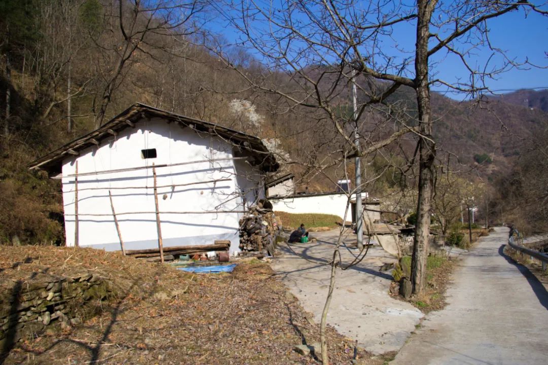 秦岭 景色平淡的秦岭小山沟，爬到高处拍了张全景，没想到竟还有了新发现