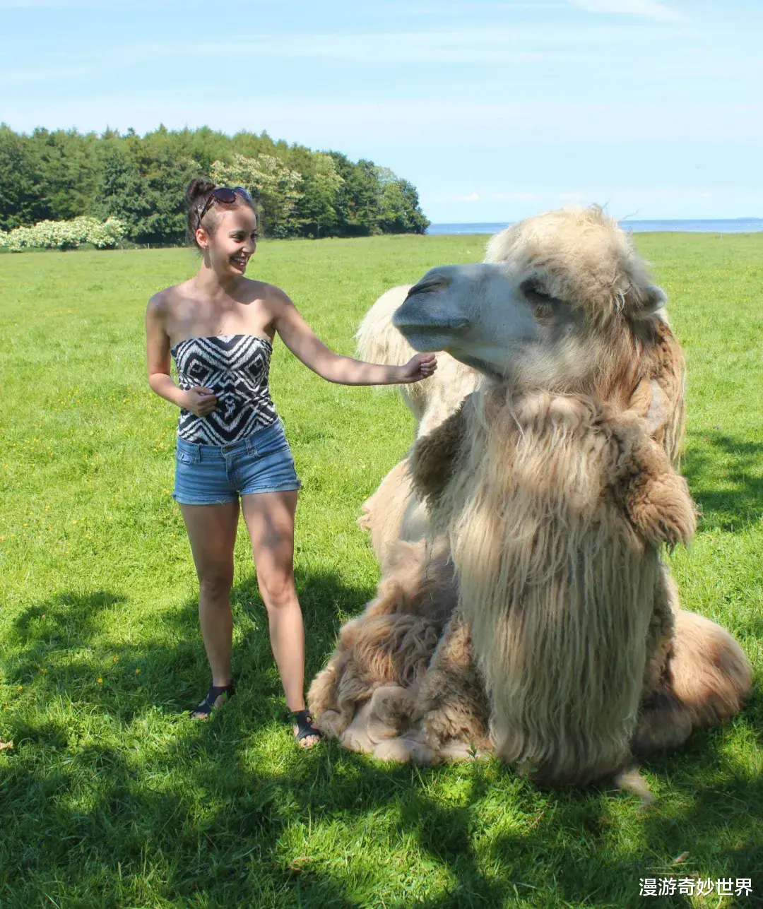 漫游奇妙世界|不比不知道，一只蝌蚪居然能长这么大