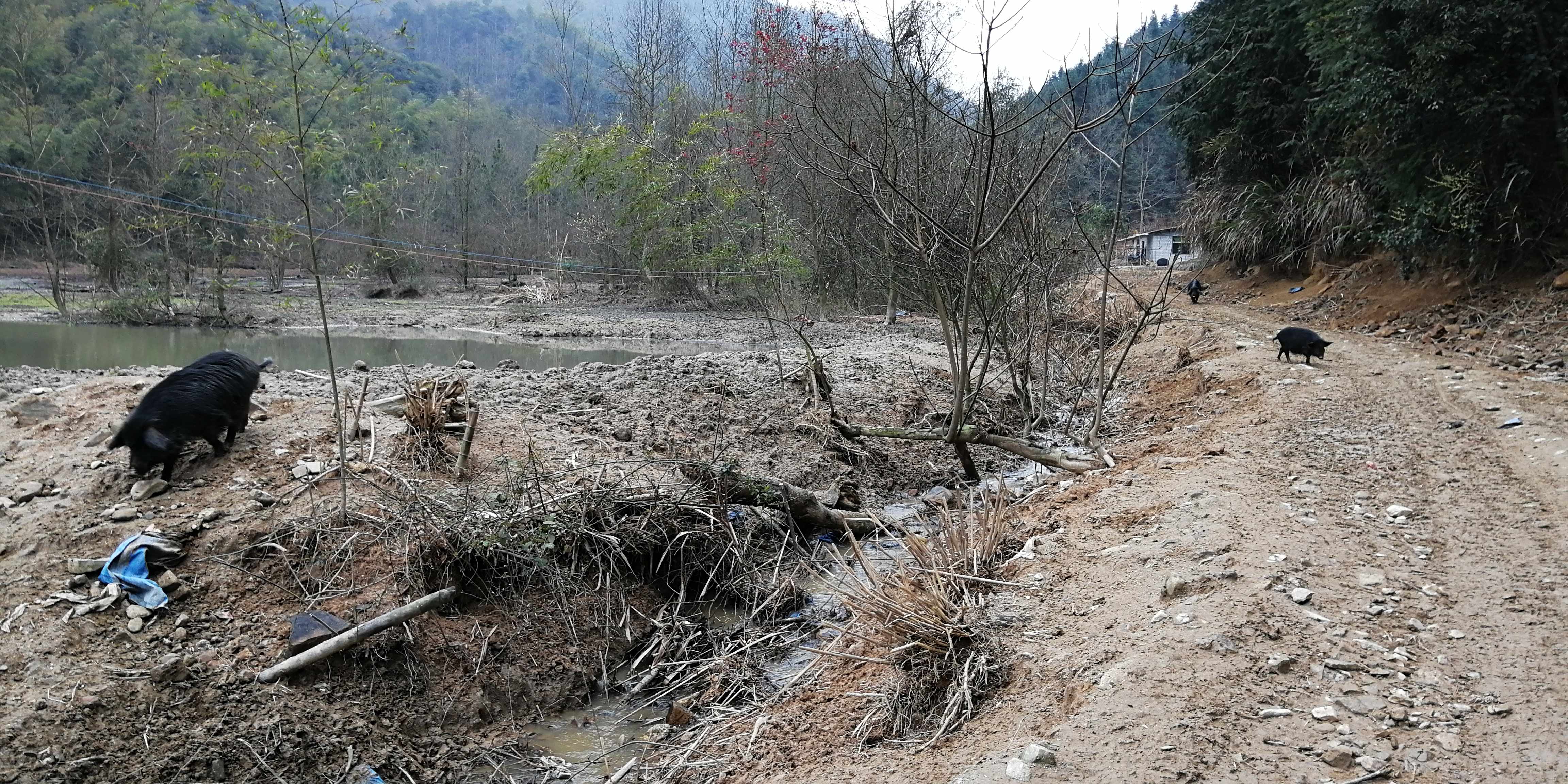 大话三农八卦 农村新法出台，三大禁令农民需注意，违反就处罚，涉及农村所有人