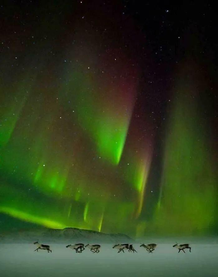 |16个非常罕见的真空场景，看看有没有你遇到过的！