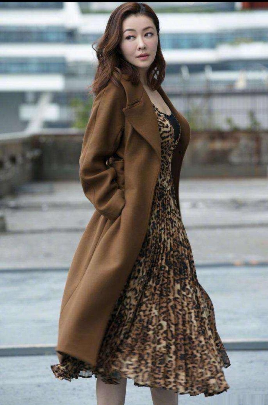 熊黛林|熊黛林不愧是名模，穿大衣也遮不住好身材，翘二郎腿尽显绰约风姿。