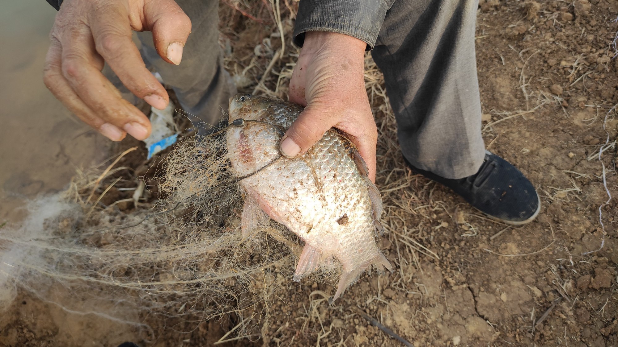摄像头|钓鱼人的“3大恨事”，任你钓技如神也难逃宿命