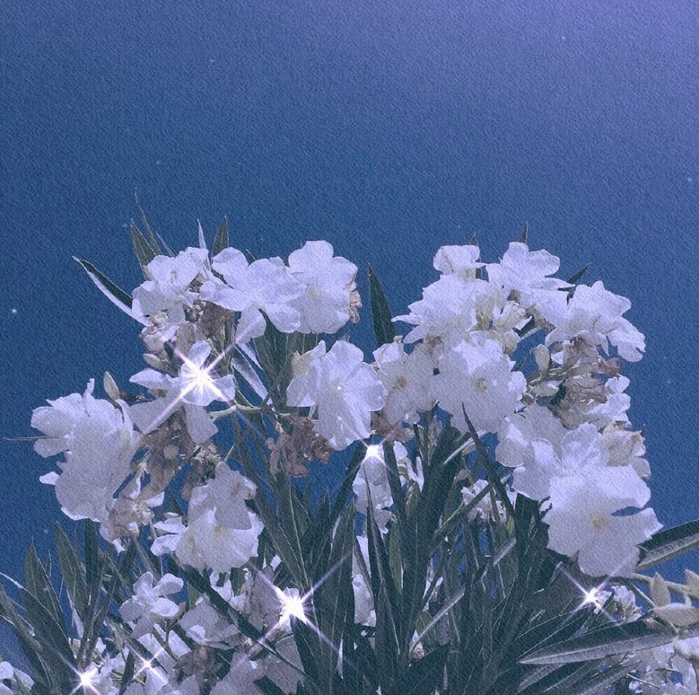 墨陌文案馆 白天有说有笑，晚上睡个好觉, 不会烂大街的高质量文案