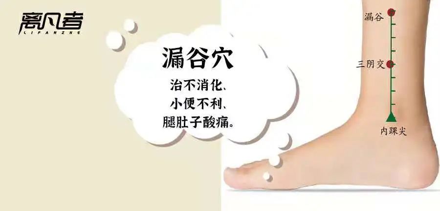 睡眠|学习“揉脾经”，能揉掉很多慢性病。