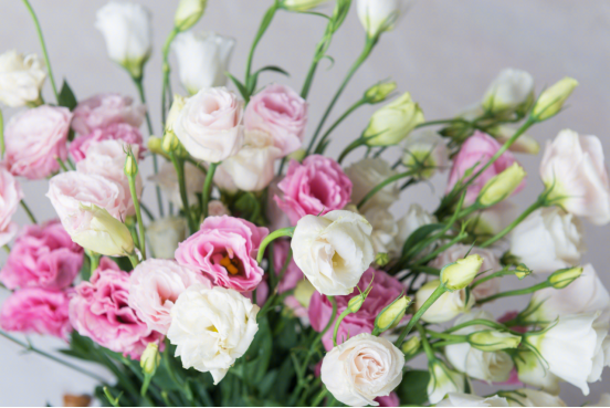 居家公社|人类高质量七夕送花指南！这9种花颜值高，寓意好，没有人不喜欢