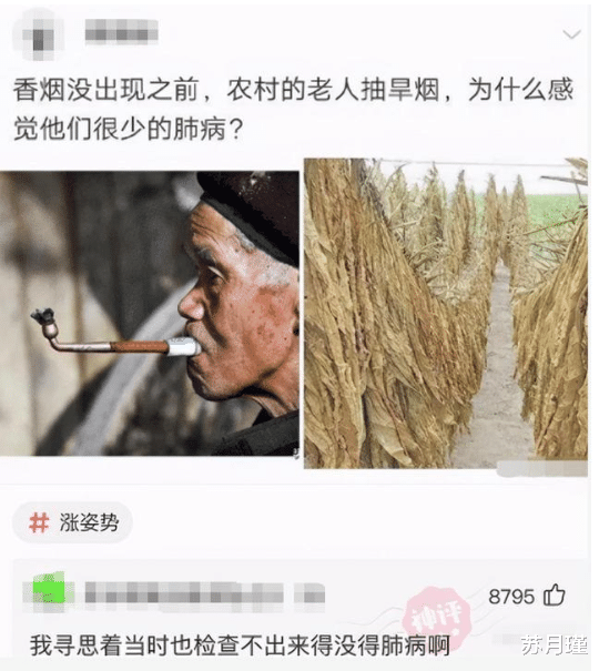 苏月瑾|“为什么香烟没出现之前，抽旱烟的老人极少得肺病？”