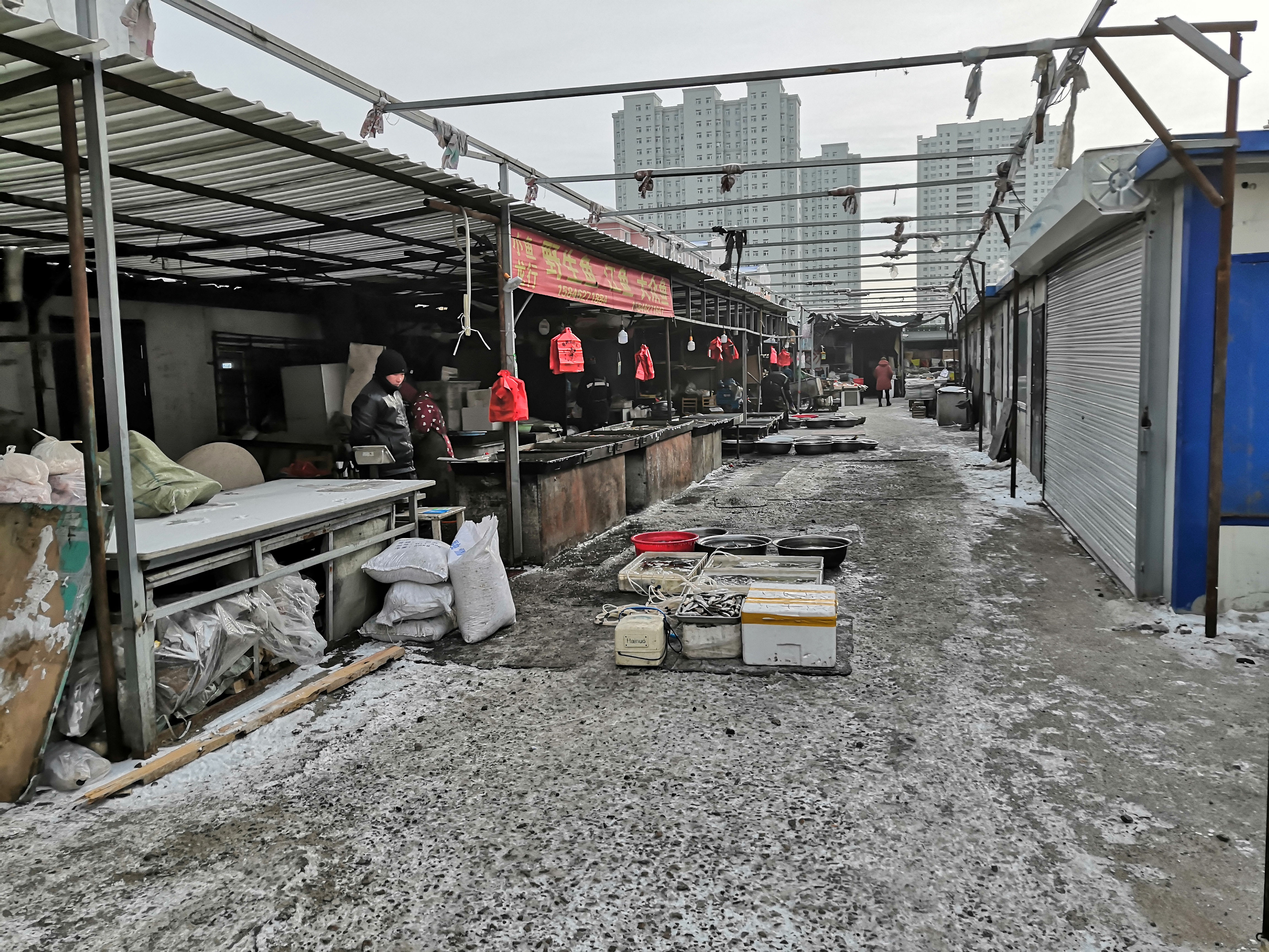 szfreeman 换上雪地胎，驰骋在鹤城的雪地上，第一站是去感受接地气的菜场