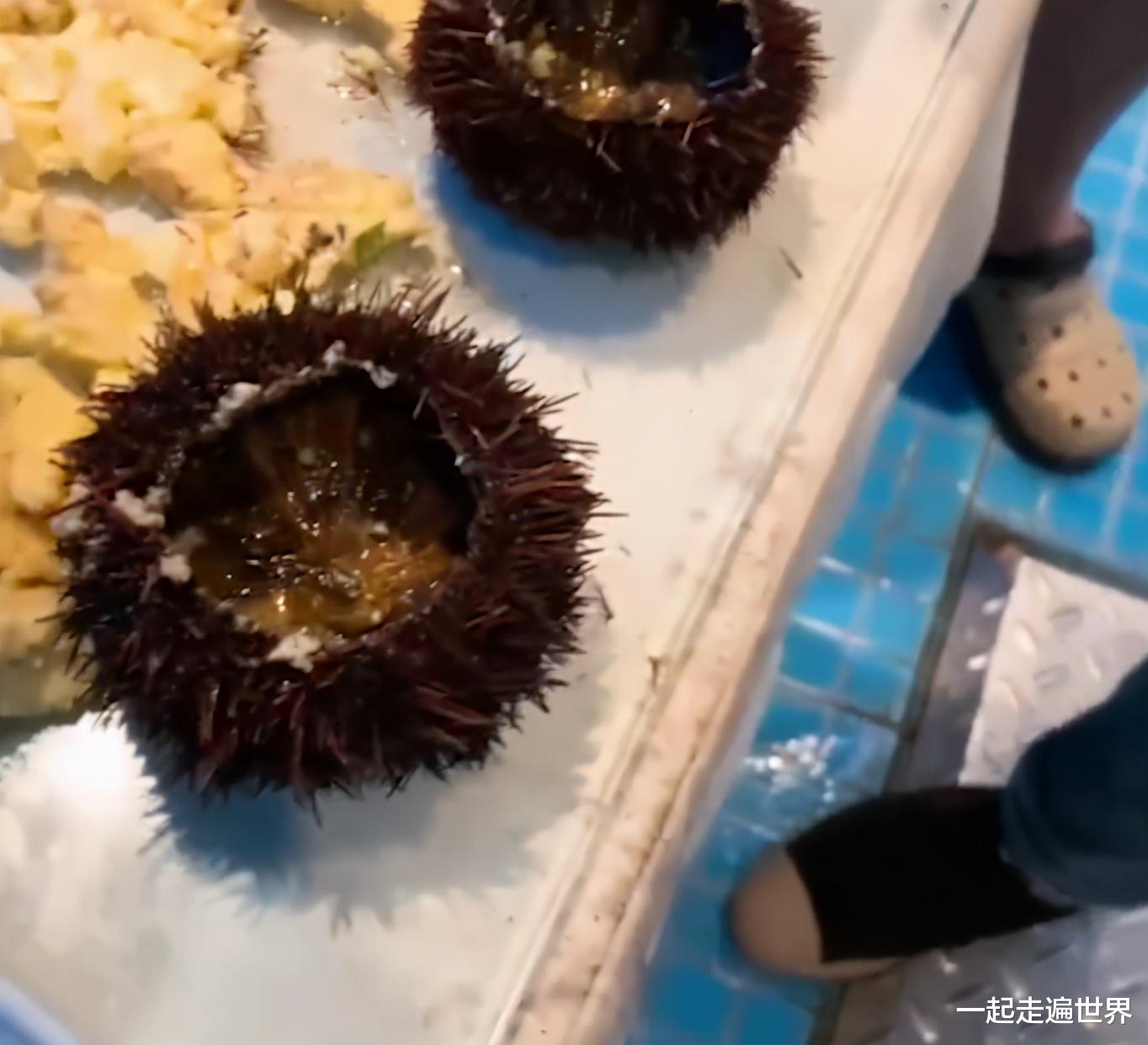 三亚 三亚海胆事件，会不会出现“大反转”？