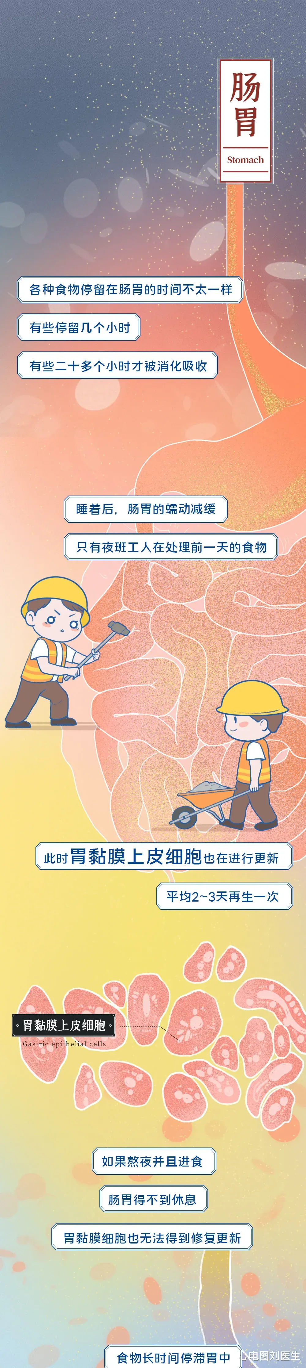心电图刘医生|长期熬夜相当于慢性自杀，不信？向你展示身体被“掏空”的过程！
