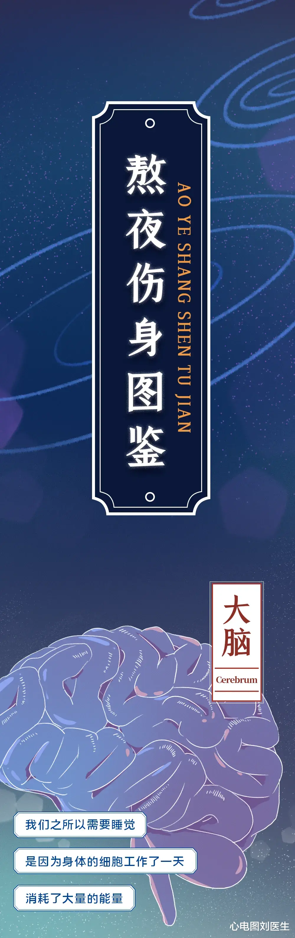 心电图刘医生|长期熬夜相当于慢性自杀，不信？向你展示身体被“掏空”的过程！