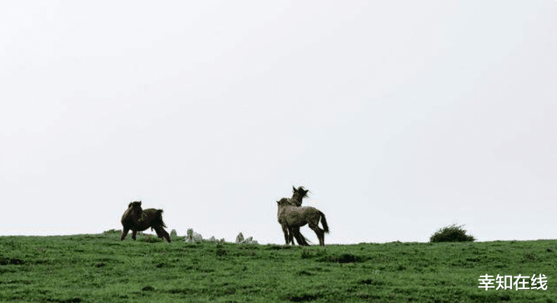 婚姻|女性心理:经常焦虑没有安全感,是因为缺少内心的掌控感