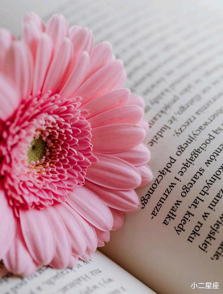 小二星座 12星座想分手的征兆，干脆离开还是勉强将就？这是一个问题！