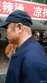 智商税|“刚提回来的新车上趴了一个金色昆虫，有什么寓意吗？”要发了？