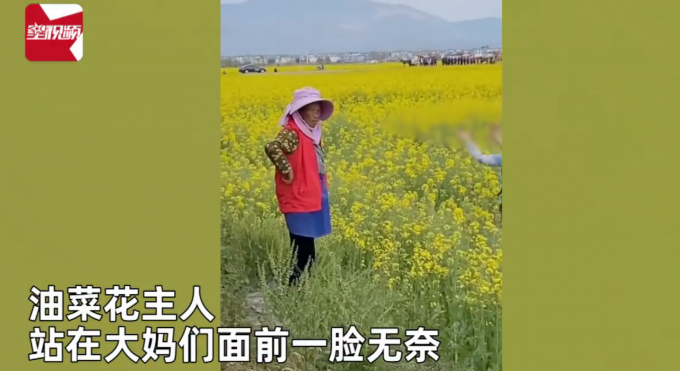 舜網 大媽踩油菜花地拍視頻被勸說仍不聽，主人無奈“觀看”