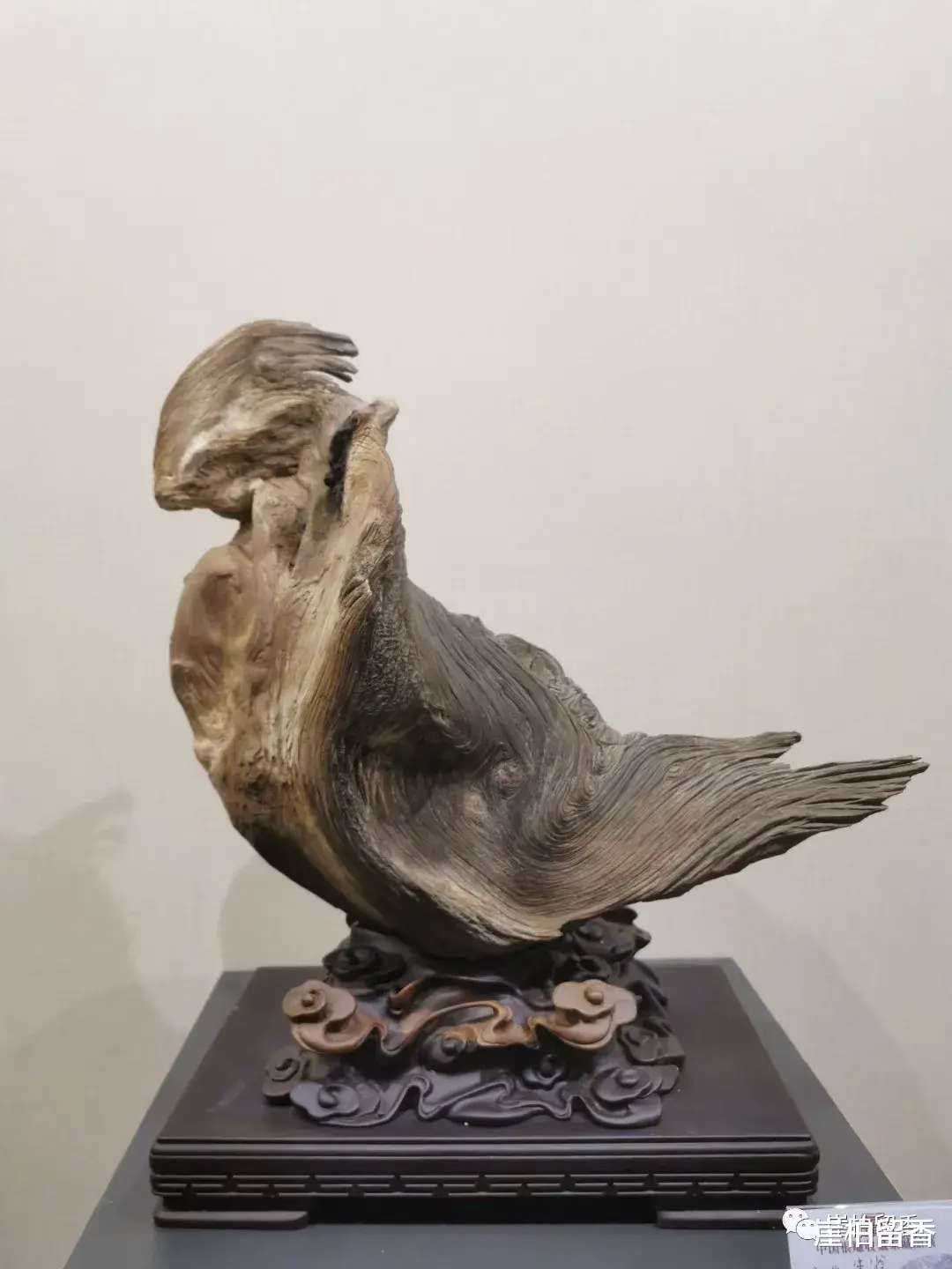 广州市 什么才是真正的崖柏象形料呢？