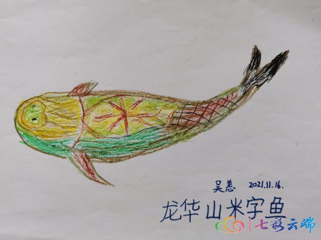 吴恙心中的生物多样性丨龙华山米字鱼