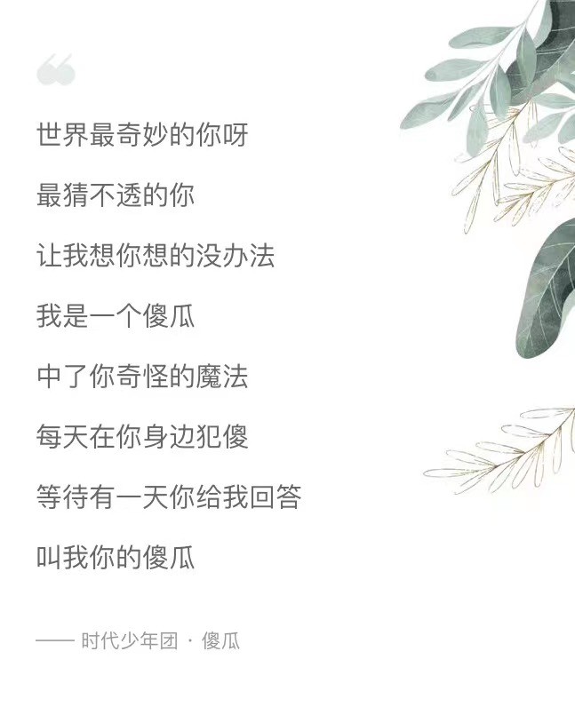 牛气满满的哥哥|酷狗上线时代少年团新歌《傻瓜》，网友表示：“好甜好可爱！”