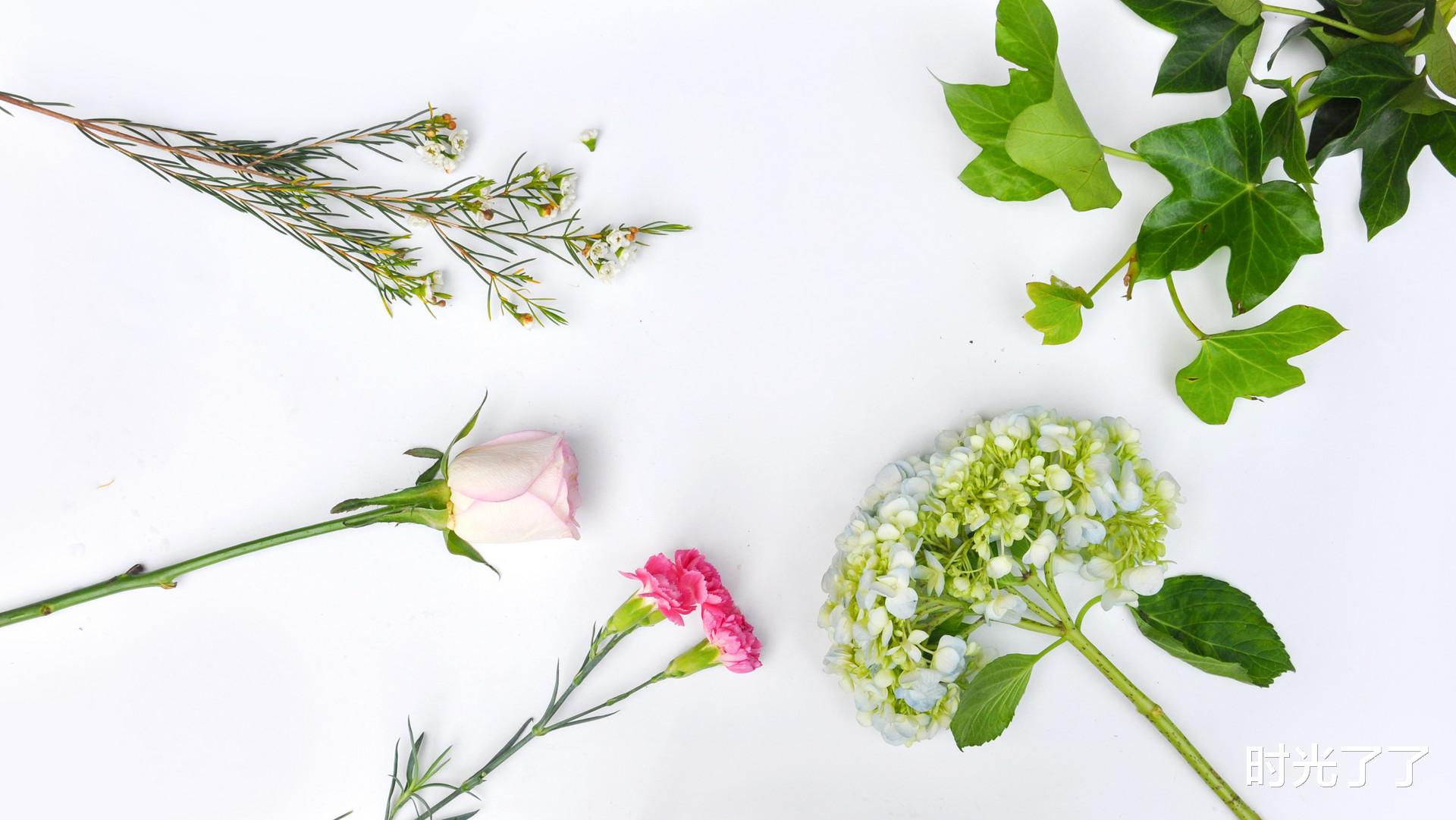 时光了了|与人相处,保持分寸感,是一种极大的修养