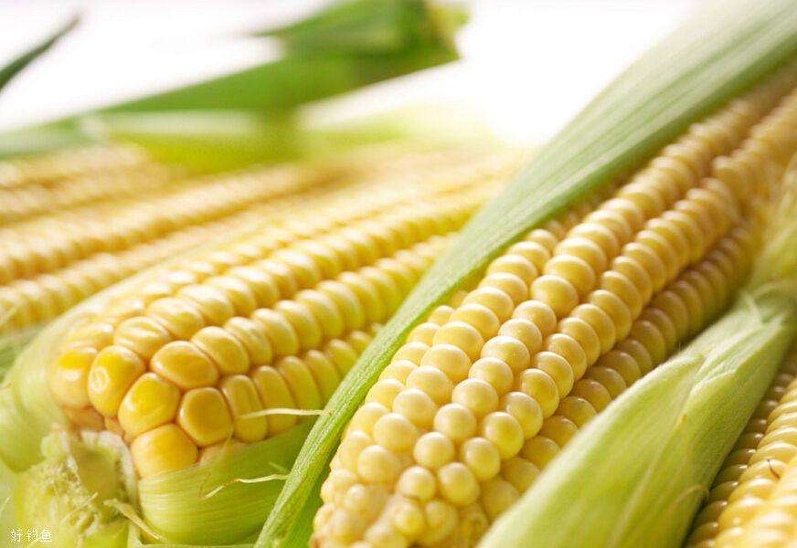 猪肉|五种野钓大鱼的神饵,都藏在你家的厨房,老钓鱼人都在偷偷用