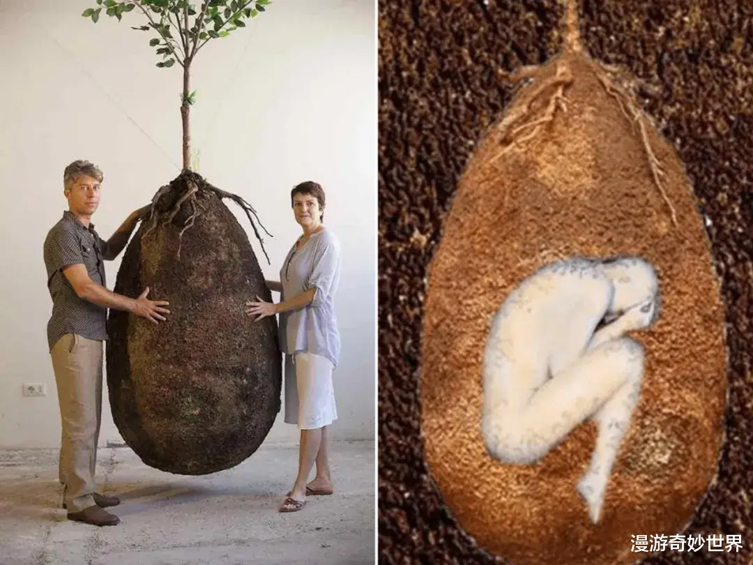  眼界大开！见所未见的30张照片，令你姿势大涨