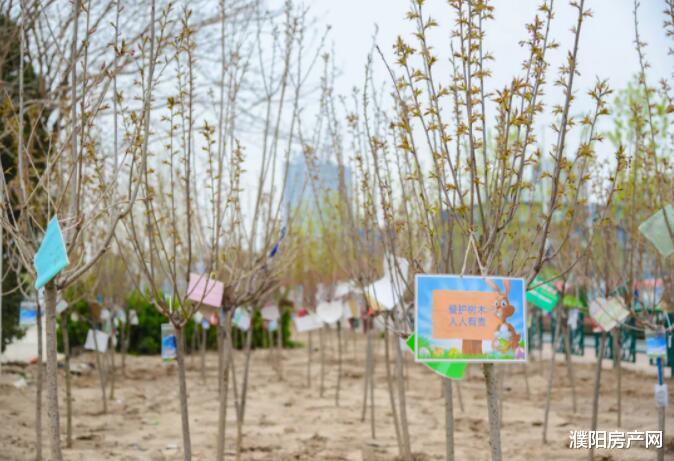 濮阳房产网 超赞！濮阳市体育场升级改造最新进展来了！