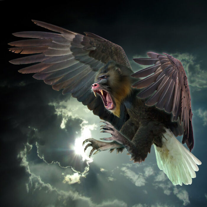  将动物组合在一起，有可爱的，有恐怖的，但它们都很有趣