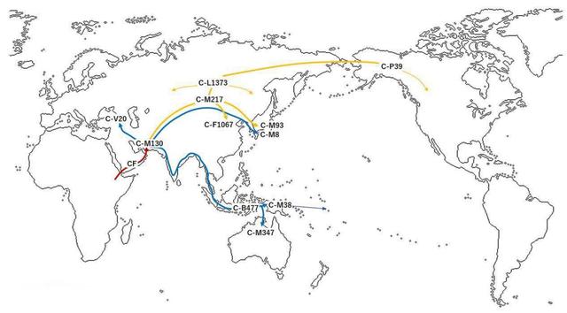 人类从哪里来?基因科学揭秘人类起源背后的真相