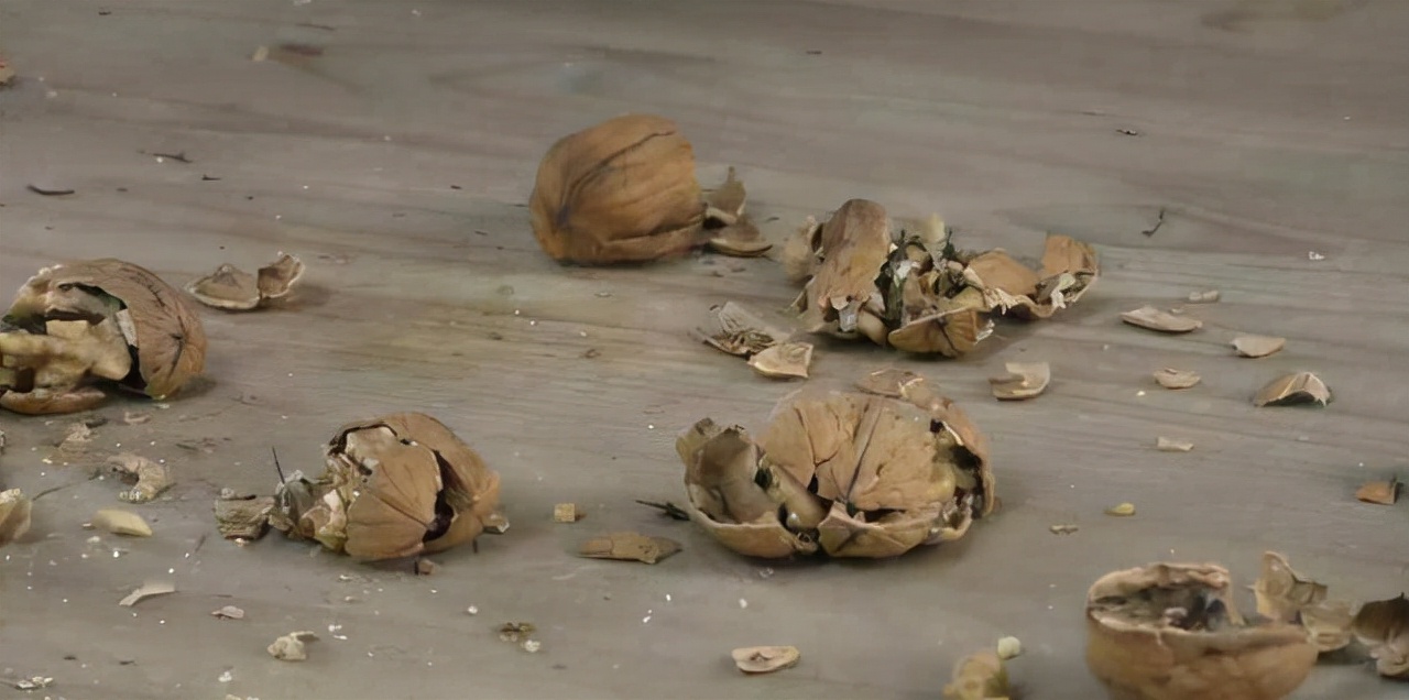 佟丽娅|变性人雷晓晨：04年变性，05年结婚，06年当妈，如今怎样了？