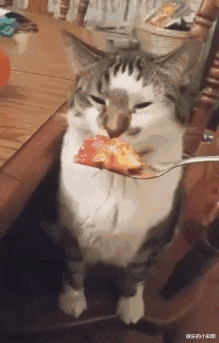 体检|“谁能想到我花了 1000 元，成功变成拆迁户！”