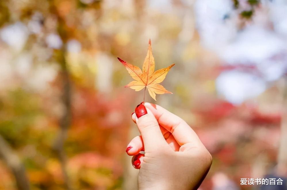爱读书的百合 人生一世，唯有干净和热爱，才能活出最好的自己