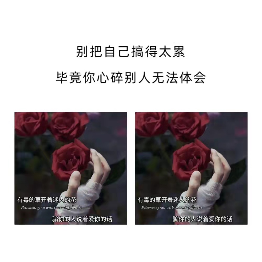 墨陌文案馆|写给太重感情的人