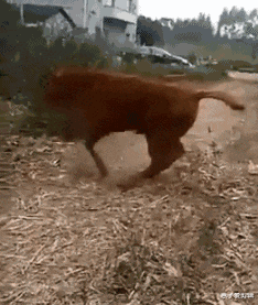 饵料|“嫂子天天去健身房，教练专门陪她训练，还不收费”