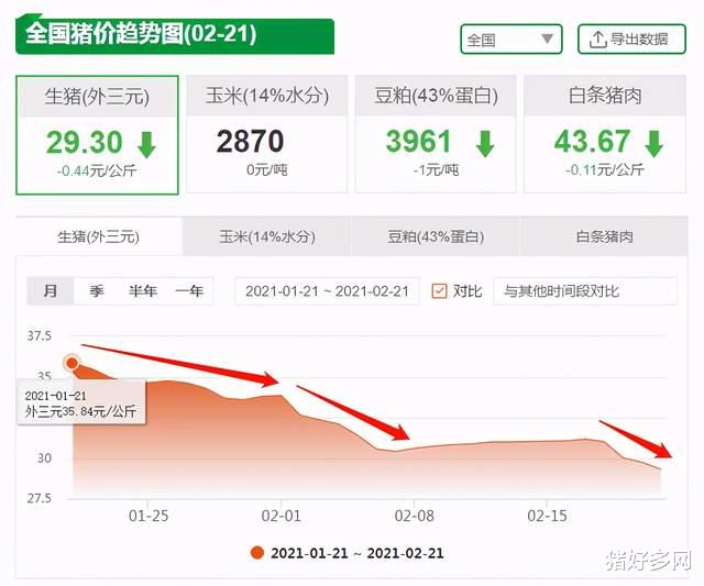 生猪价格 又是一片“绿”！南北猪价跌势“互不相让”，生猪抛售进入“白热化”？