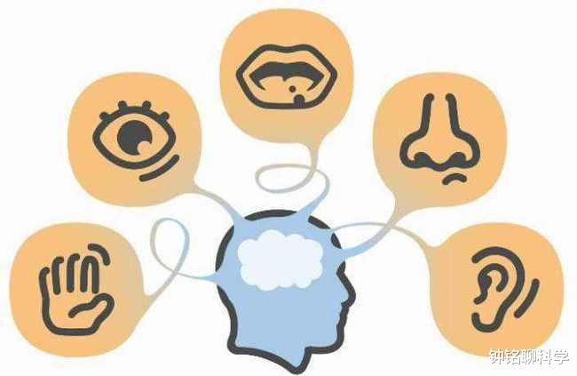 科学家 诺奖爆冷门！吃辣椒会感到热也能获得诺贝尔奖？看完才知道不简单