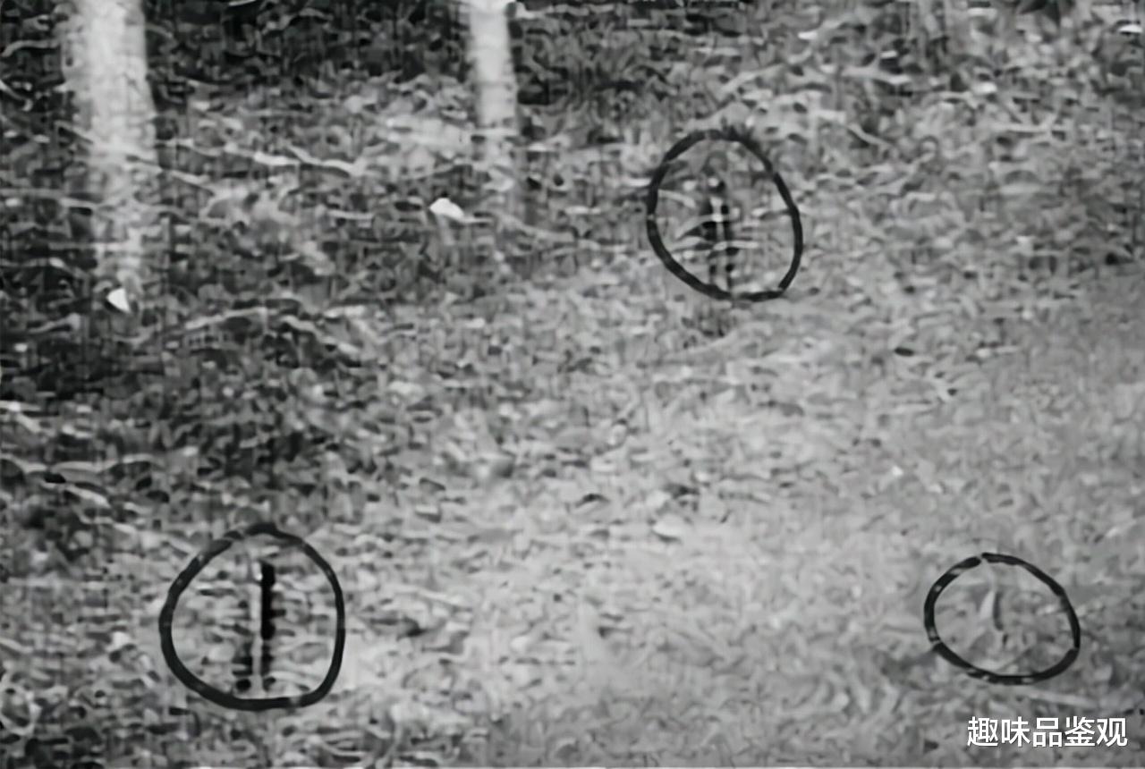 安第斯山脉|被专家认为是真实事件：UFO分解成5个亮光体，还能发出光束（上）