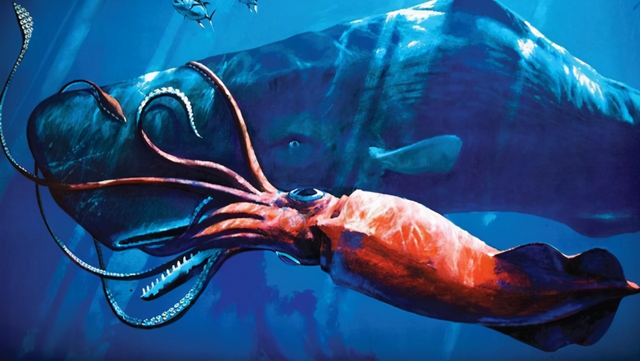 蜘蛛|海底深处的5种怪异生物，超出人类想象，深海鱼龙令人恐惧！