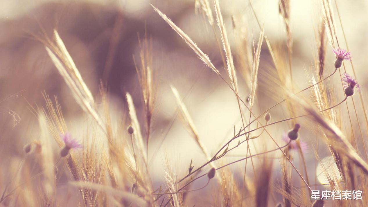 摩羯座|3.15-3.21事业前五的星座，晋升机会初露端倪，加薪有望幻梦成真