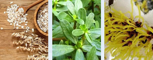 好物官|为嫁豪门连打3年美白针的女主播，现状如何？榜一大哥：还钱