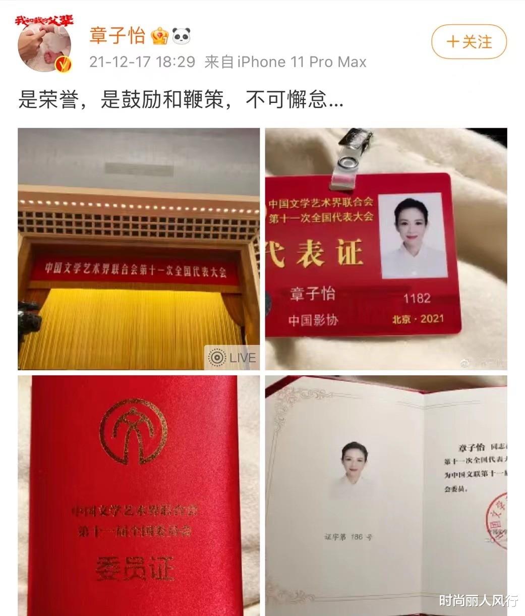 章子怡|章子怡罕见“央视脸”颜值封神！晒绝美证件照，盘发穿白衬衣美上天