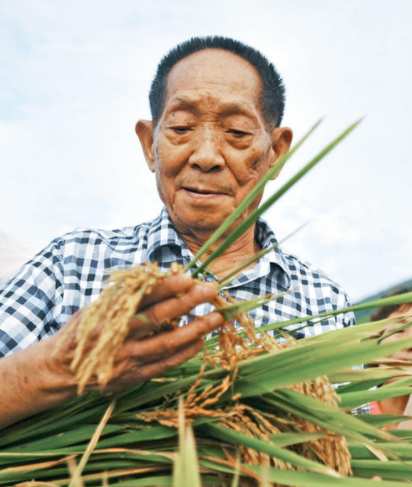 袁隆平|袁隆平逝世成照妖镜流量明星如跳梁小丑，刘亦菲被骂的一点都不冤