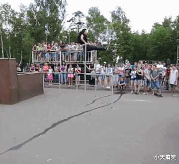 太空 神回复:“如果四光年外有外星的战舰,正以光速向地球前进,人类会怎么做?”哈哈哈!