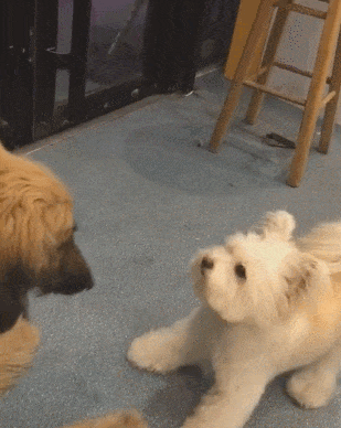 宿舍|“这样的宿舍条件，你愿意去打工吗？”我可以倒贴路费...哈哈哈哈！