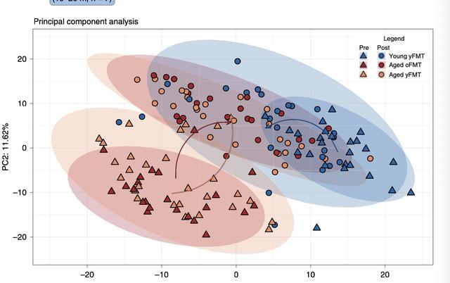 蛋白质 新研究成功让小鼠“返老还童”
