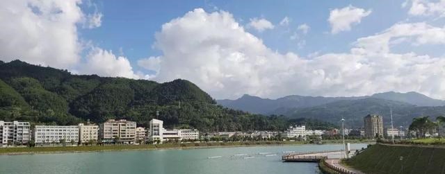 浩浩乐城 泰顺五大名优特产，除了“官洋黑豚”你还知道哪些？