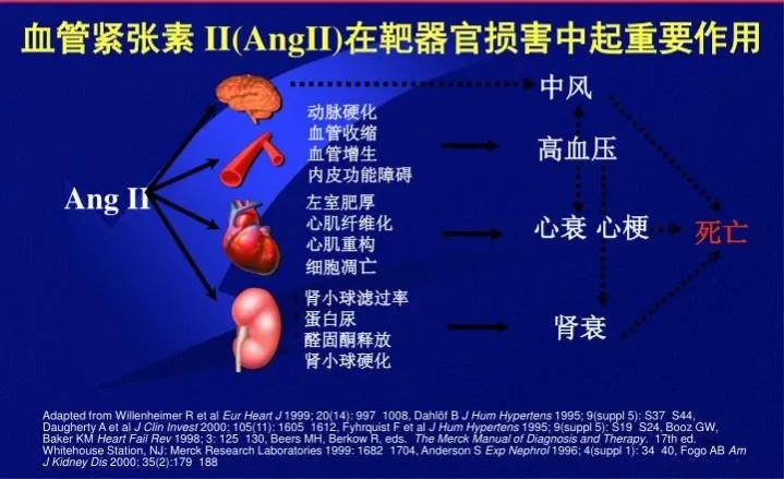 心力衰竭|心衰领域异军突起2药，抑制心肌肥厚，逆转心室重构，改善心功能