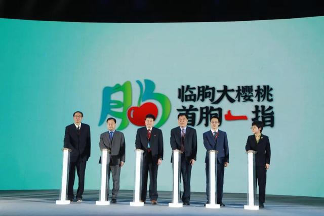 中国山东网 临朐县发布国内首个高标准大樱桃区域公用品牌