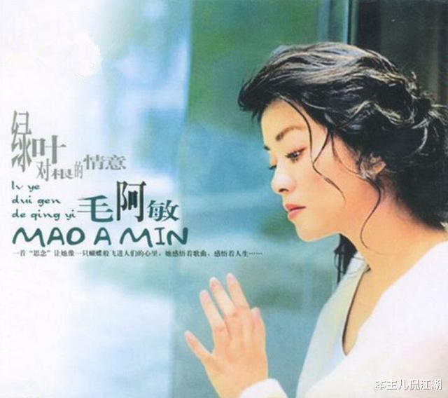 毛阿敏|毛阿敏“毁灭史”