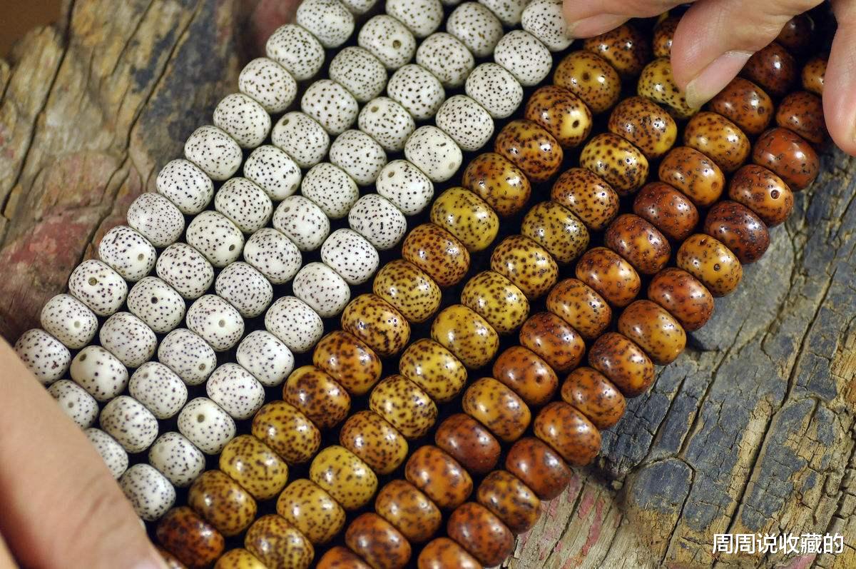 星月菩提|如何挑选一条能够长久陪伴自己的文玩手串，星月菩提